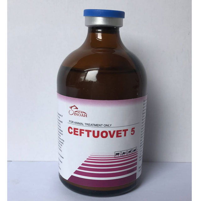 Ceftifour HCL Injection